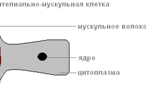 Кракен сайт 1kraken me вход