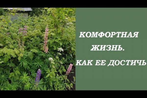 Кракен даркнет маркет ссылка тор