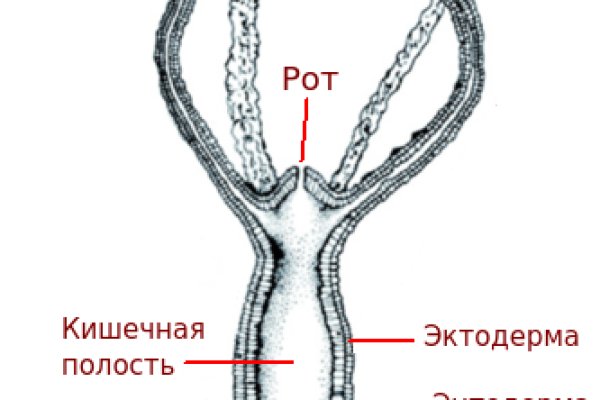 Ссылки на дарк нет