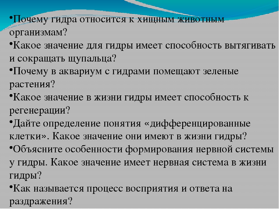 Сайт вместо гидры