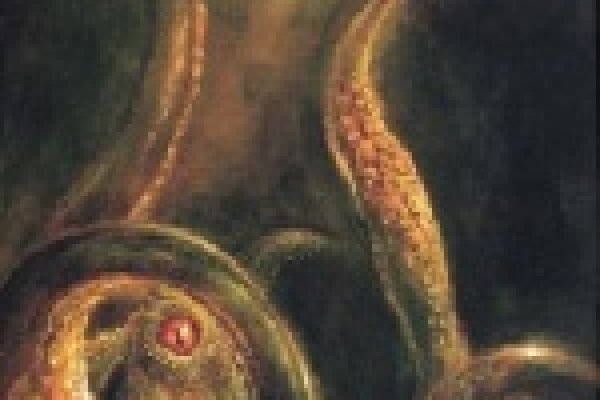 Как войти в даркнет